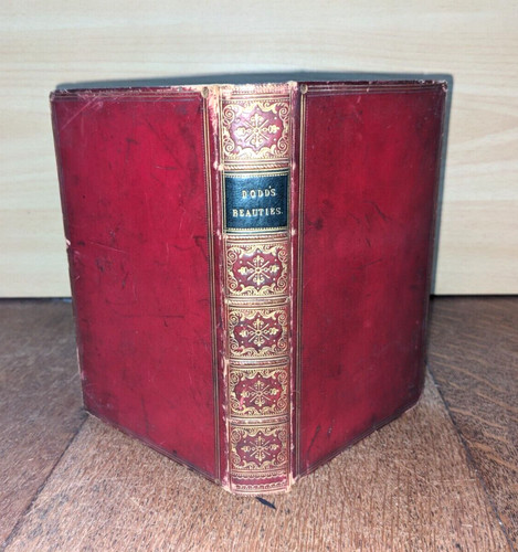 Antikes buch the beauties - antikes,